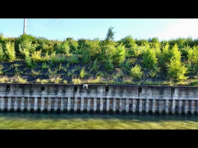 Duisburg Rheinhafen-Tour