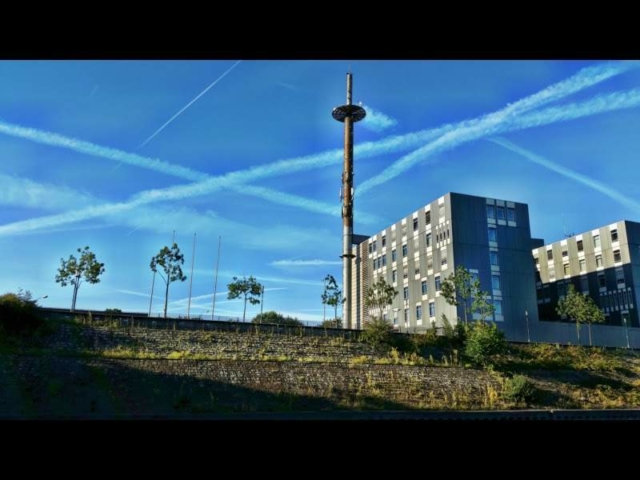 Duisburg Rheinhafen-Tour