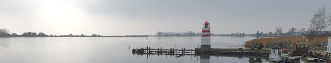 Weberknecht